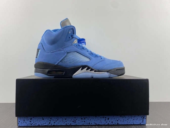 UNC Air 5 DV1310-401 Jordan 0818
